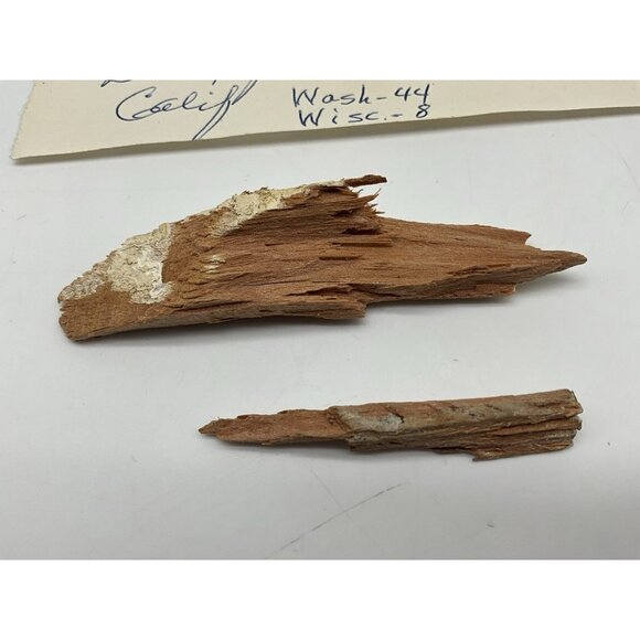 1960 Rose Bowl  Pieces Of Goal Post Torn Down By The Washington Husky Fans - Picture 4 of 11